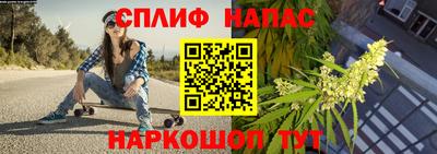 молекула духа Заволжье