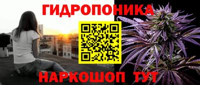 a pvp Заводоуковск