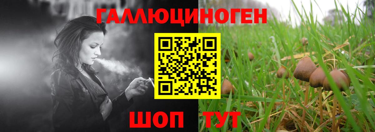 Кунгур  Галлюциногенные грибы Cubensis  Псилоцибиновые грибы Psilocybe  Вход с VPN 