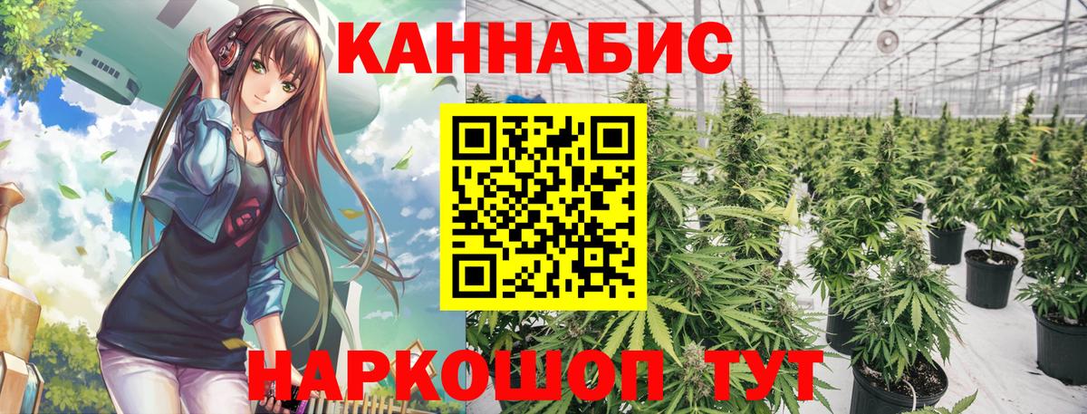 Каннабис конопля  Вход с VPN  Бошки Шишки тримм  Конопля сатива  Кунгур  Каннабис Amnesia 